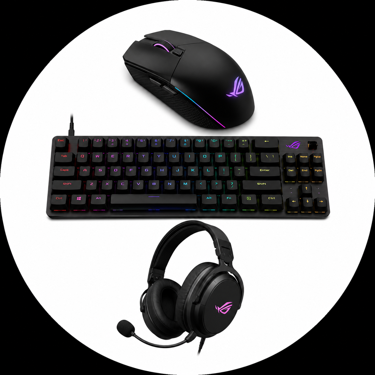Computer Accessories